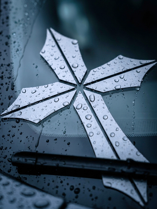 Front Windshield Decal